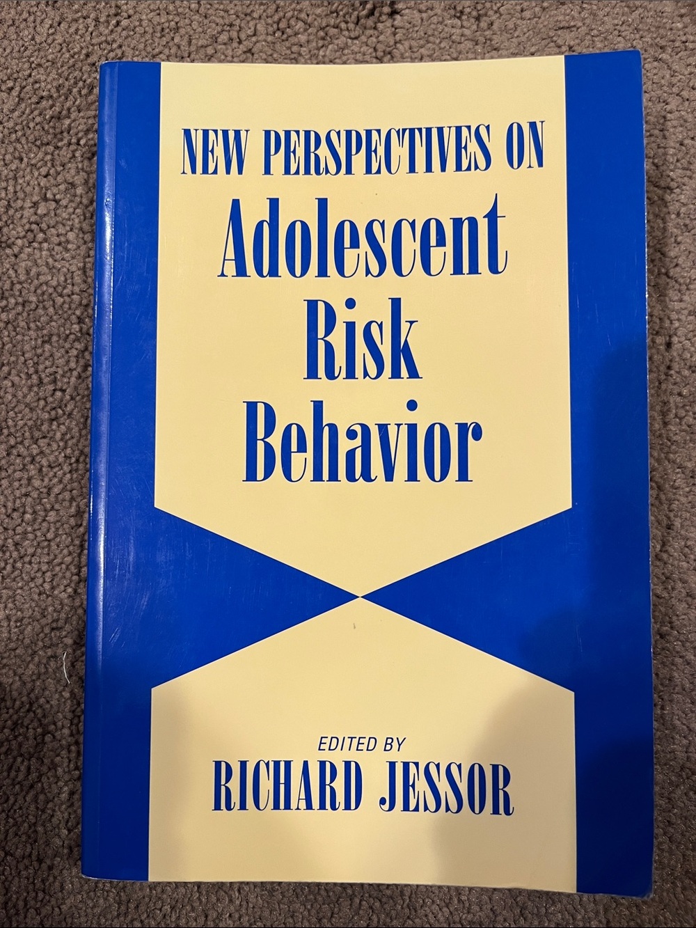 New Perspectives on Adolescent Risk Behavior — Blue & Cream Softcover